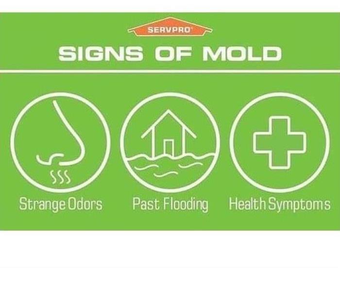 Three signs of mold