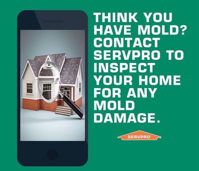 Call us for a Mold Inspection 