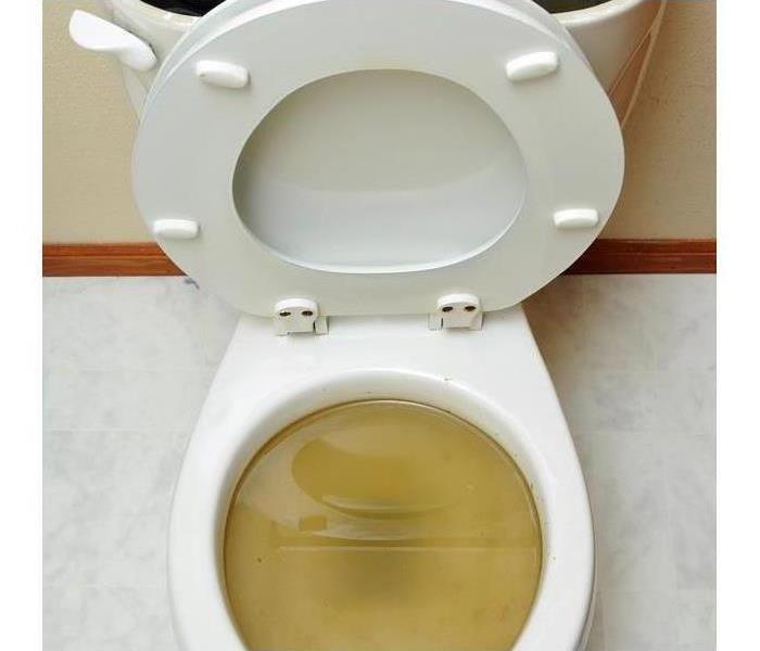 Steps to take if your toilet overflows